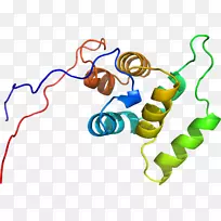 线点剪贴画-线-空若网 线点剪贴画-线-空若网