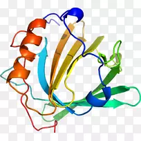 人体首饰有机体线剪贴画线-空若网 人体首饰有机体线剪贴画线-空若网