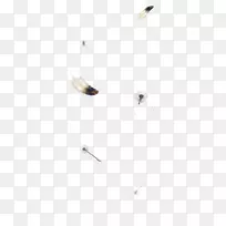 羽毛喙-羽毛-空若网 羽毛喙-羽毛-空若网