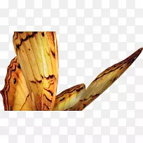 ��������-����-������