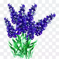 ޹�²�-�����ֻ�޹�²ݿ�ͨ����-������