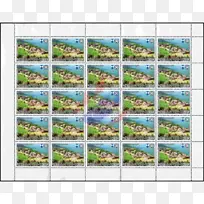 ´°¿ÚÊ÷-´°¿Ú-¿ÕÈôÍø ´°¿ÚÊ÷-´°¿Ú-¿ÕÈôÍø