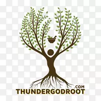 ��־����ֲ�ﾥ����-����-������