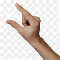 拇指数字手指手臂-手指物理图-空若网 拇指数字手指手臂-手指物理图-空若网
