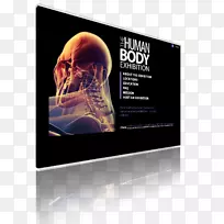 展示广告品牌多媒体.展览设计-空若网 展示广告品牌多媒体.展览设计-空若网