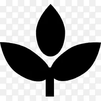 叶开花植物剪贴画-叶-空若网 叶开花植物剪贴画-叶-空若网