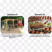 免鸡场鸡蛋免耕农业-鸡-空若网 免鸡场鸡蛋免耕农业-鸡-空若网