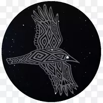 ���Ŷ������-������