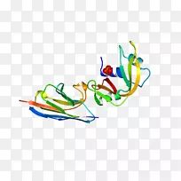 ����ƽ����Ƶ��������-������