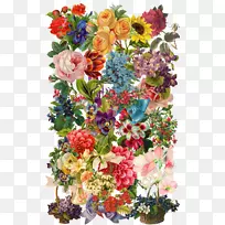 花卉设计插画-花卉收藏-空若网 花卉设计插画-花卉收藏-空若网