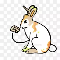 �����ö��������-����-������