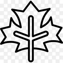 叶线剪贴画-空若网 叶线剪贴画-空若网