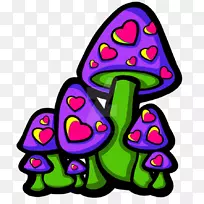 ŦԼ����ʳ���������-������