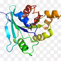 �ߵ������������-������