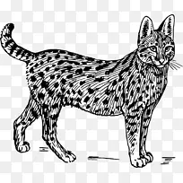 萨凡纳猫野猫蛇类剪贴画-猫黑白相间-空若网 萨凡纳猫野猫蛇类剪贴画-猫黑白相间-空若网