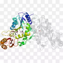 ���߼�����-��-������