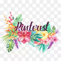 ����Ƽ���iPad���㻨-������