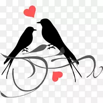灰头爱鸟剪贴画-空若网 灰头爱鸟剪贴画-空若网
