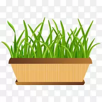 花盆剪贴画-带有草的花盆,透明的PNG剪贴画图像-空若网 花盆剪贴画-带有草的花盆,透明的PNG剪贴画图像-空若网