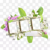 花卉设计画框.设计-空若网 花卉设计画框.设计-空若网