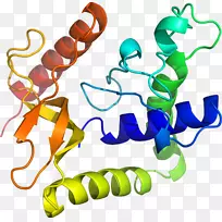 ���������л����߼�������-������