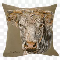 ��ͷ��-������