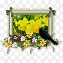 花卉设计切花植物花卉-空若网 花卉设计切花植物花卉-空若网