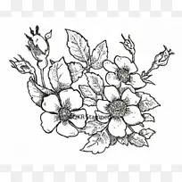 ��������л��Գƻ���-������