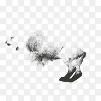 狗羊鼻子-狗-空若网 狗羊鼻子-狗-空若网