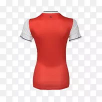 t����������չʾt��-������