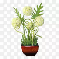 ������ƻ����л�.��-������