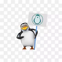 �����Ӱ-���-���-������