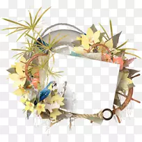 中心博客暑假-暑假-空若网 中心博客暑假-暑假-空若网