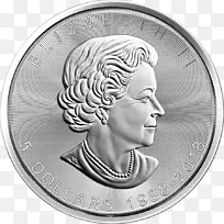 ���ô�����Ҷ���ô���Ҷ���ô��Ҷ��-������