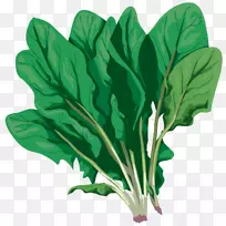 菜园蔬菜-空若网 菜园蔬菜-空若网