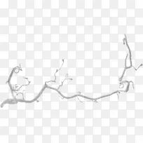 细枝摄影艺术-黄枝-空若网 细枝摄影艺术-黄枝-空若网