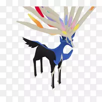 羽毛-羽毛-空若网 羽毛-羽毛-空若网