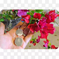 花卉设计植物花瓣粉红色m设计-空若网 花卉设计植物花瓣粉红色m设计-空若网