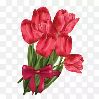 国际妇女节贺卡-空若网 国际妇女节贺卡-空若网