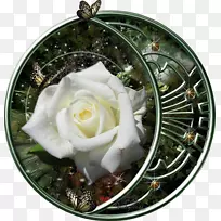 ������ƻ����л�-����֮ҹ-������