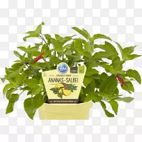 �����β�ݣ���ͨ��β�ݣ����ʣ������㣬����-������