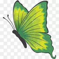 ��������ˢ��������������-������