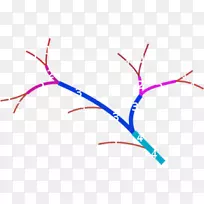 ����ѷ��������֧��-��ѧ��-������