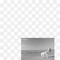 ��չ㳡-��������������-������