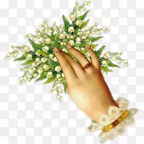 五月一日百合花谷中心博客.net-空若网 五月一日百合花谷中心博客.net-空若网