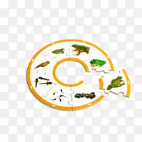 线餐具字体线-空若网 线餐具字体线-空若网