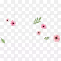 花卉设计切花花瓣开花植物-空若网 花卉设计切花花瓣开花植物-空若网