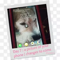 狗鼻子相框.狗-空若网 狗鼻子相框.狗-空若网