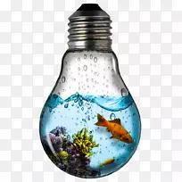 �׳���ݵ�ư�������˿��ʥ��װ��Ʒ��-������