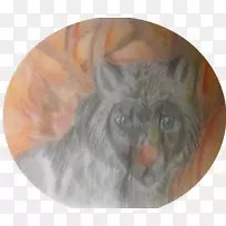 胡须猫狗鼻子毛皮猫-空若网 胡须猫狗鼻子毛皮猫-空若网